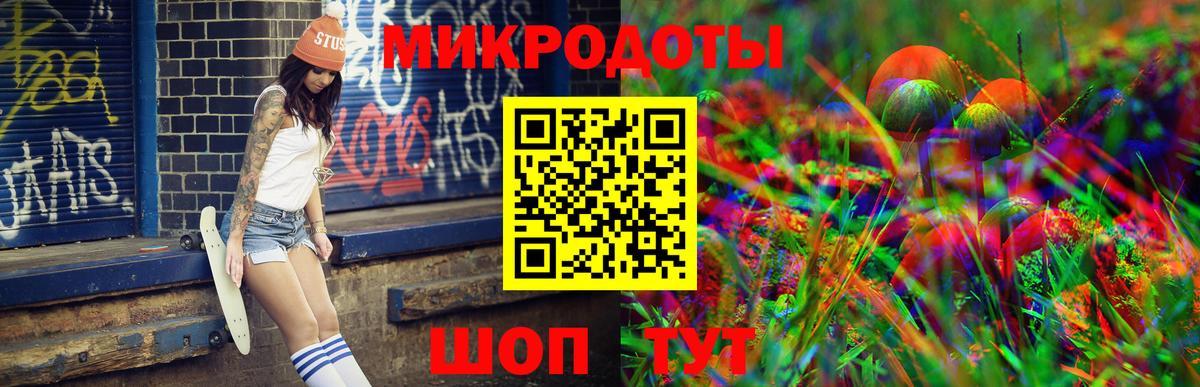 Галлюциногенные грибы Psilocybe Каспийск