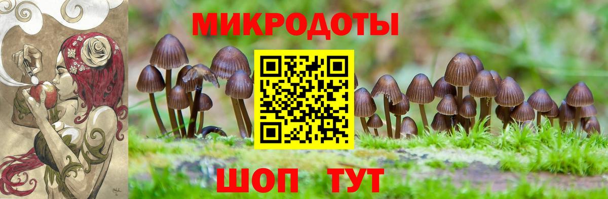 Каспийск  Галлюциногенные грибы мухоморы  Вход с VPN  Галлюциногенные грибы ЛСД 